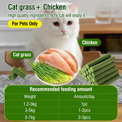 HKpetie cat grass teething stick highlights natural plant-based ingredients.