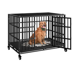 HMHTCT 48-inch crate with wheels, front view, easy mobility and durable build.