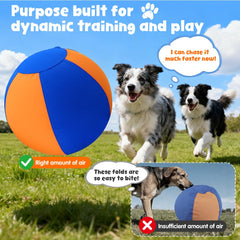 HOESDA 18-inch ball promotes agility and problem-solving in active breeds.