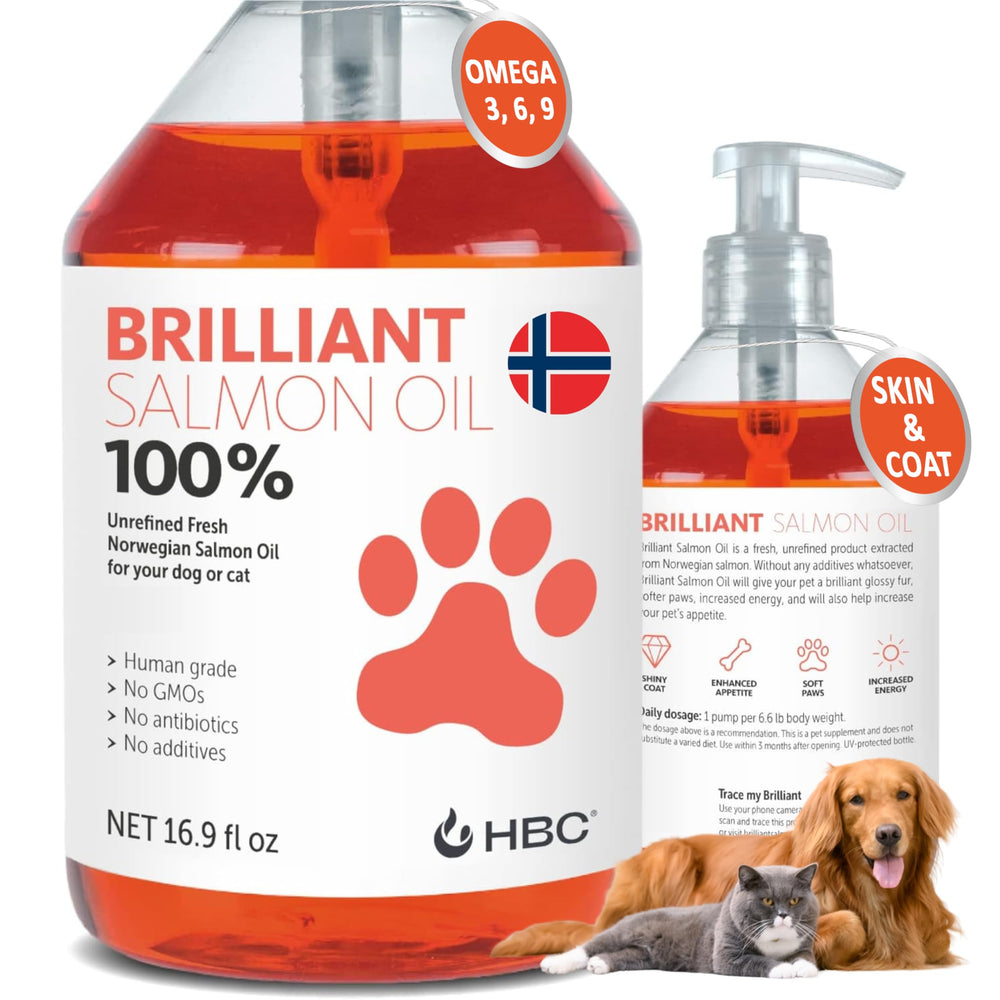 Hofseth BioCare Salmon Oil being poured for dogs to support a healthy coat.