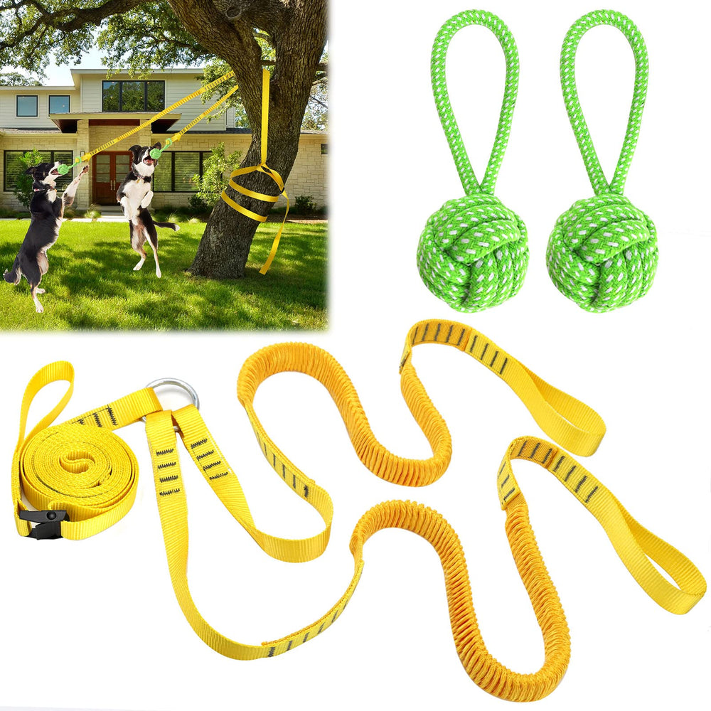 HOKINETY two-dogs-tug-tether-setup for shared exercise and safe play
