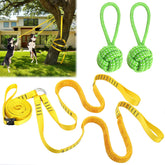 HOKINETY two-dogs-tug-tether-setup for shared exercise and safe play
