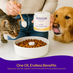 HOLI coconut oil itchy-skin-relief soothing pet irritation