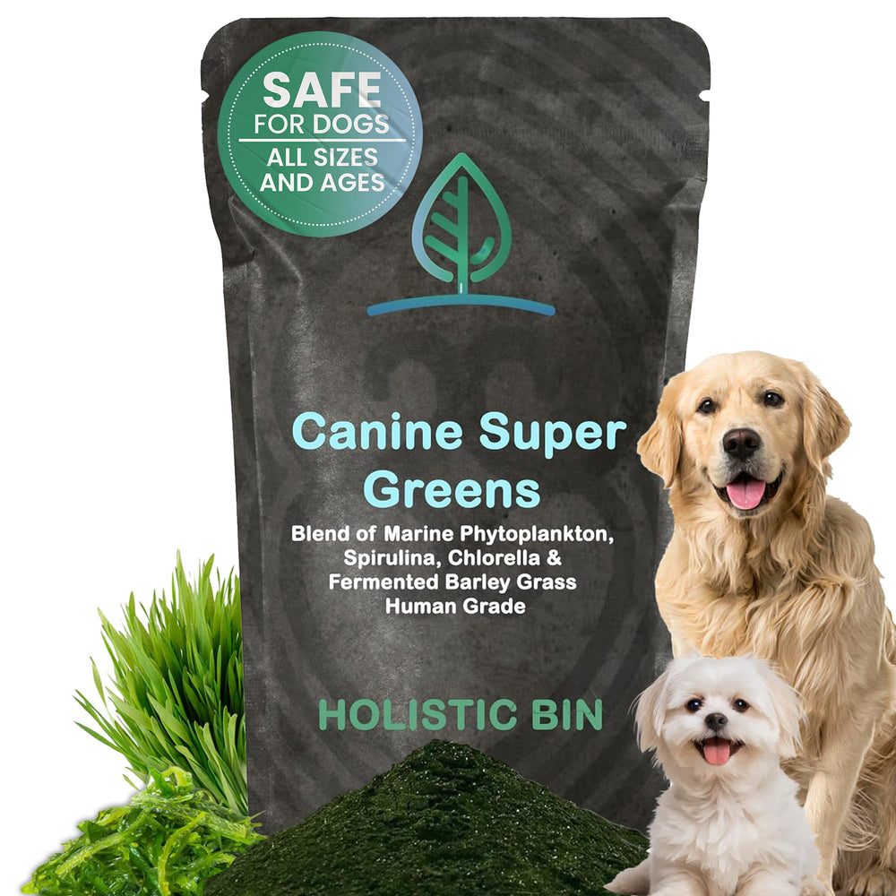 Holistic Bin Canine Super Greens powder tub for gut balance and vitality.