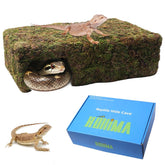 Hollima Mossy Cave Hide interior offers a natural moss retreat for reptiles.
