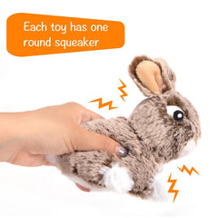 Hollypet squeaker toy adds audible stimulation during interactive play.