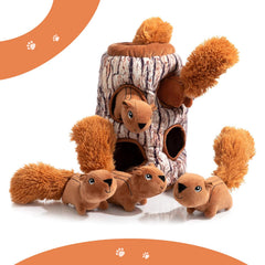 Hollypet interactive playtime with squeaker attracts attention and motivates exploration