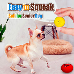 HOLYSTEED durable small-dog squeaky toy designed for longer sessions