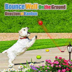 Holysteed small dog fetch ball in bright colors encourages exercise and retrieval.