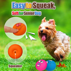 Holysteed teething-friendly toy in soft latex comforts small breeds during play.