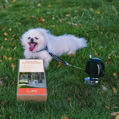 Home in Bold outdoor tie-out in yard demonstrates extended range for dogs.