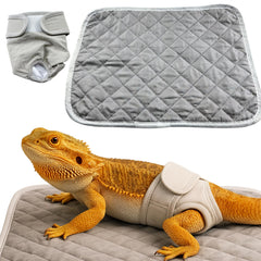 Homedy Crafts bearded dragon diaper with adjustable closure for relaxed handling sessions