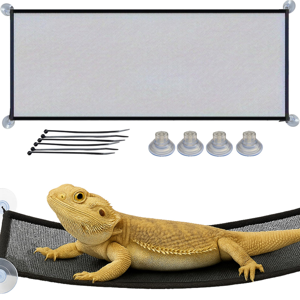 Homedy Crafts Bearded Dragon Hammock two-level climb for exercise and rest.