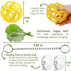 Homedy Crafts veggie feeder ball promotes engaging mealtime and foraging.