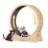 Homegroove Cat Exercise Wheel side view showing sturdy wooden base for indoor use
