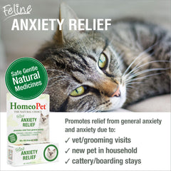 Dosing HomeoPet drops for calmer moments in cats.