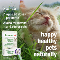 HomeoPet Feline Digestive Upsets cat-bowl scene β everyday care routine