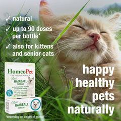 HomeoPet Drops mixed in water for easy administration