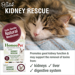 Dosing HomeoPet Kidney Rescue directly into a cat's mouth for easy administration