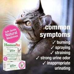 HomeoPet Feline UTI+ liquid formula for gentle bladder support.