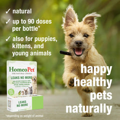 HomeoPet Leaks No More dog and cat usage scene demonstrates urinary support options.