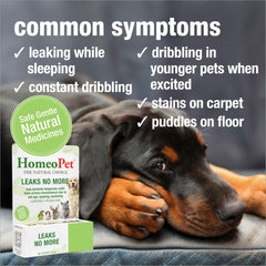 HomeoPet Leaks No More liquid suspension highlights simple three-times-daily dosing for pets.