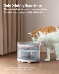 HomeRunPet fountain with detachable parts for quick cleaning in seconds.