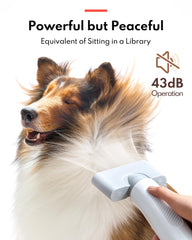 HomeRunPet Ultra Quiet 43dB operation demonstrates gentle sound for calming pets