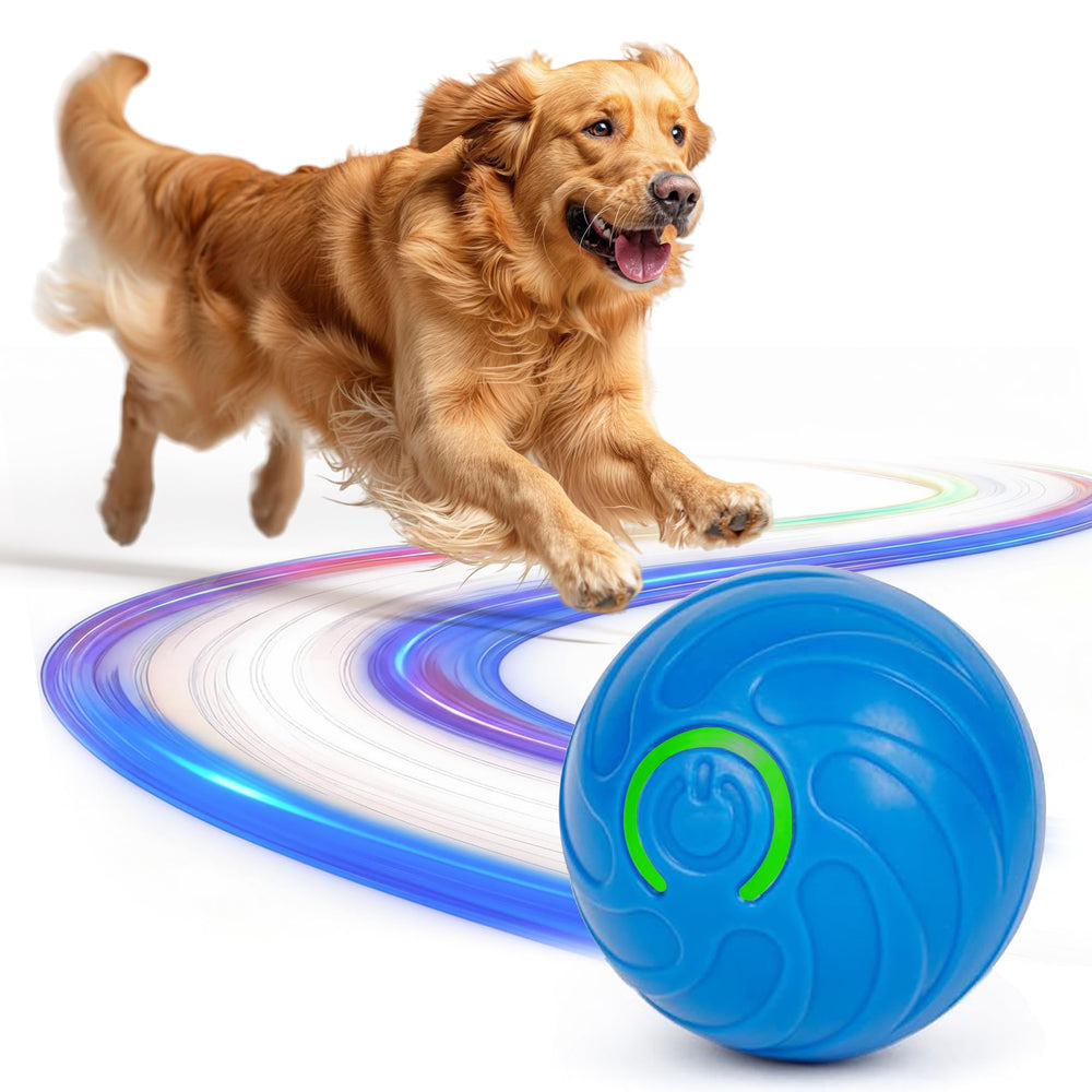 Hometop ZoomieBall interactive ball on floor engages dogs with unpredictable motion.
