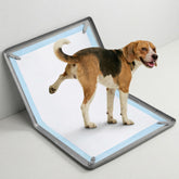 Homgaty dog pee pad holder with magnetic clips keeps pads flat during training.