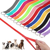 Homimp slip lead 6ft in multiple colors for versatile dog handling