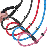 Homimp slip lead dog leash 6ft with reflective safety features for nighttime walks.