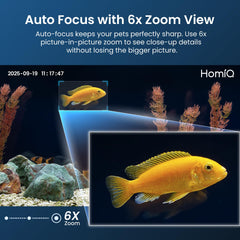HOMIQ LIFE smart detection with auto-focus sends instant alerts to your phone.