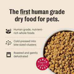 The Honest Kitchen live probiotics activation image signals gut-friendly nutrition for felines.