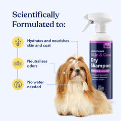 Honest Paws Dog Dry Shampoo bottle and spray application for easy coat care.