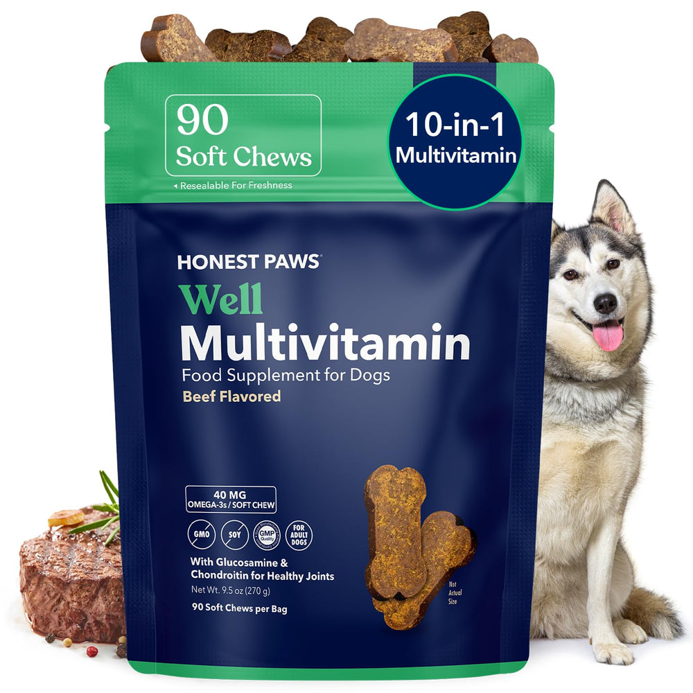 Honest Paws dog multivitamin soft chews packaging highlights beef flavor for daily wellness