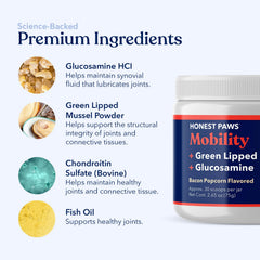 Honest Paws Glucosamine measuring spoon enables precise daily dosing.