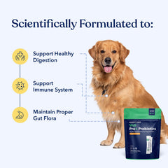 Honest Paws dog probiotic powder pumpkin stick designed to support normal digestion.
