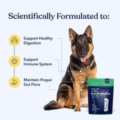 Honest Paws Probiotics single-serve packets for mess-free dosing