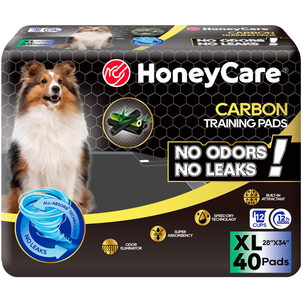 HONEY CARE All-Absorb puppy pads box front showing quick-potty training solution
