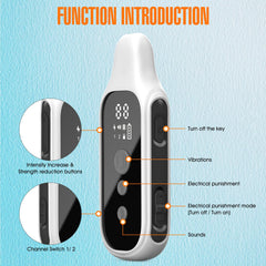Honey One IP67 waterproof e-collar ready for outdoor use in rain or pool.