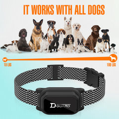 Honey One remote control image emphasizes precise, multi-level training options.