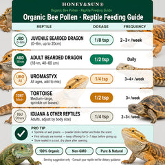 HONEY&SUN premium reptile pollen supports daily feeding variety