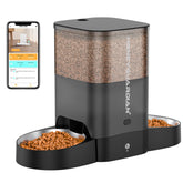 HoneyGuaridan automatic cat feeder for two cats with dual bowls and precise portions.