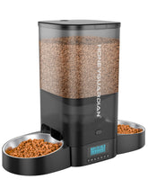 HoneyGuaridan dual cat feeder shows side-by-side feeding for two pets.