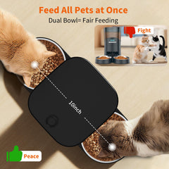 HoneyGuaridan HGsmart app control for convenient remote feeding.