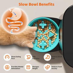 HoneyGuaridan slow bowl close-up highlighting paced eating for healthier meals.