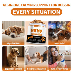 Hoozzch calming chews pack arranged for daily use.