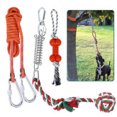 HOPET dog rope toy outdoors with bungee setup for active exercise