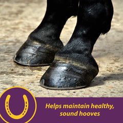 Horse Health Vita Biotin Crumbles strengthen hoof walls for resilience